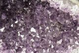 Purple Amethyst Geode - Uruguay #87495-3
